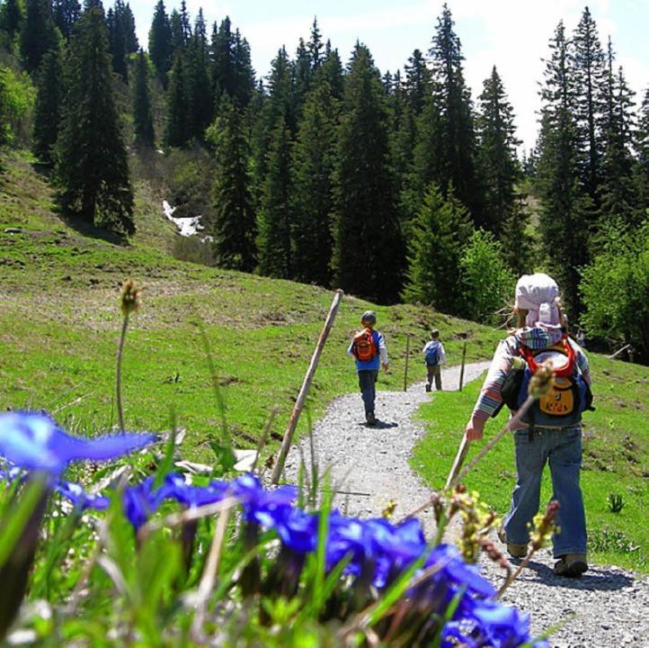 Diese Einfache Unterkunft- Bergheimat Ist Nur Fuer Backpacker- Rucksacktouristen Und Radfahrer - Huettenfeeling Im Backpackerhoues- Ganz Einfach - Ganz Unkompliziert - Ganz Relaxd Villa Linthal Kültér fotó